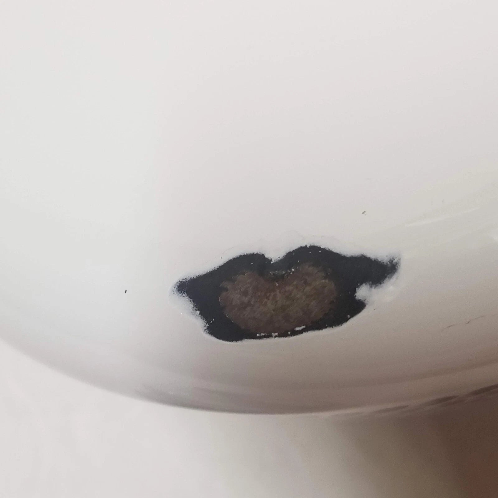 White Enamel Teapot Fruit Pear Cherries Plum Peach Blue 2 Qt Decorative Tea Pot | eBay