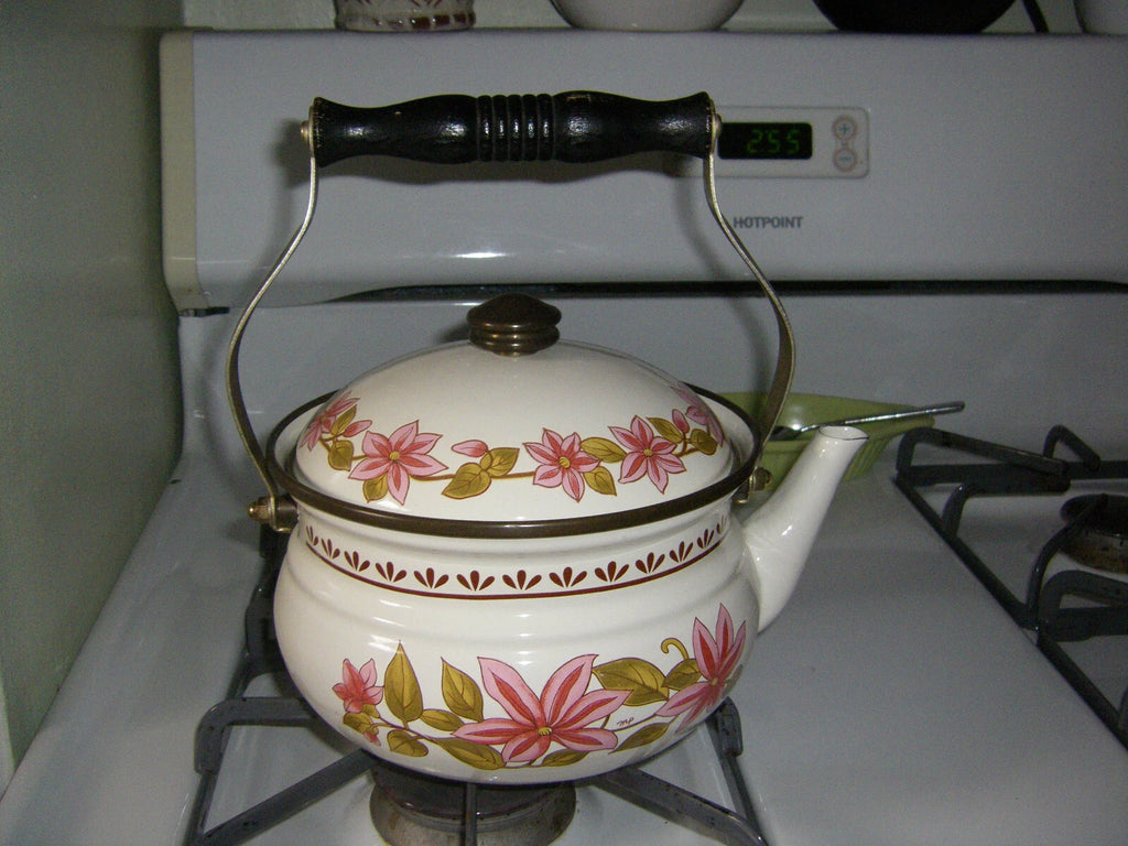 NEW VTG Gailstyn-Sutton Tea Pot Kettle Floral Porcelain Enamel Japan | eBay