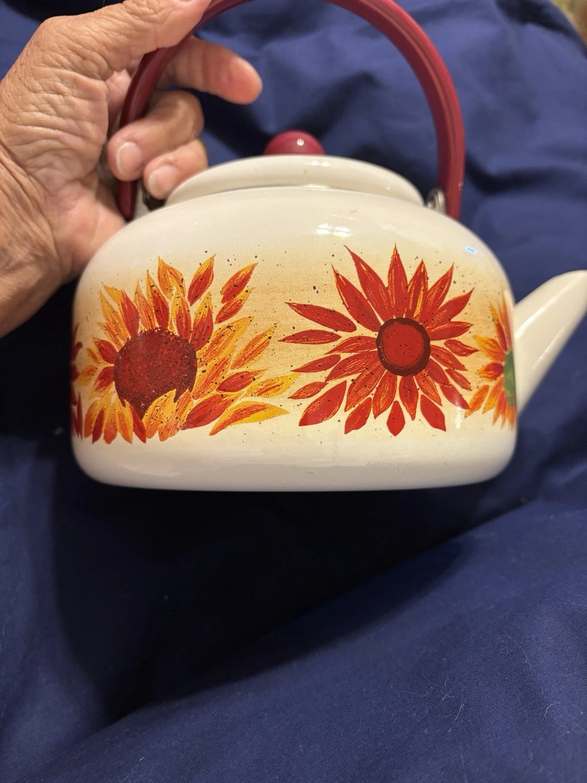 Vintage Enamel 8 Cup Teapot Kettle W/Flower Pattern | eBay