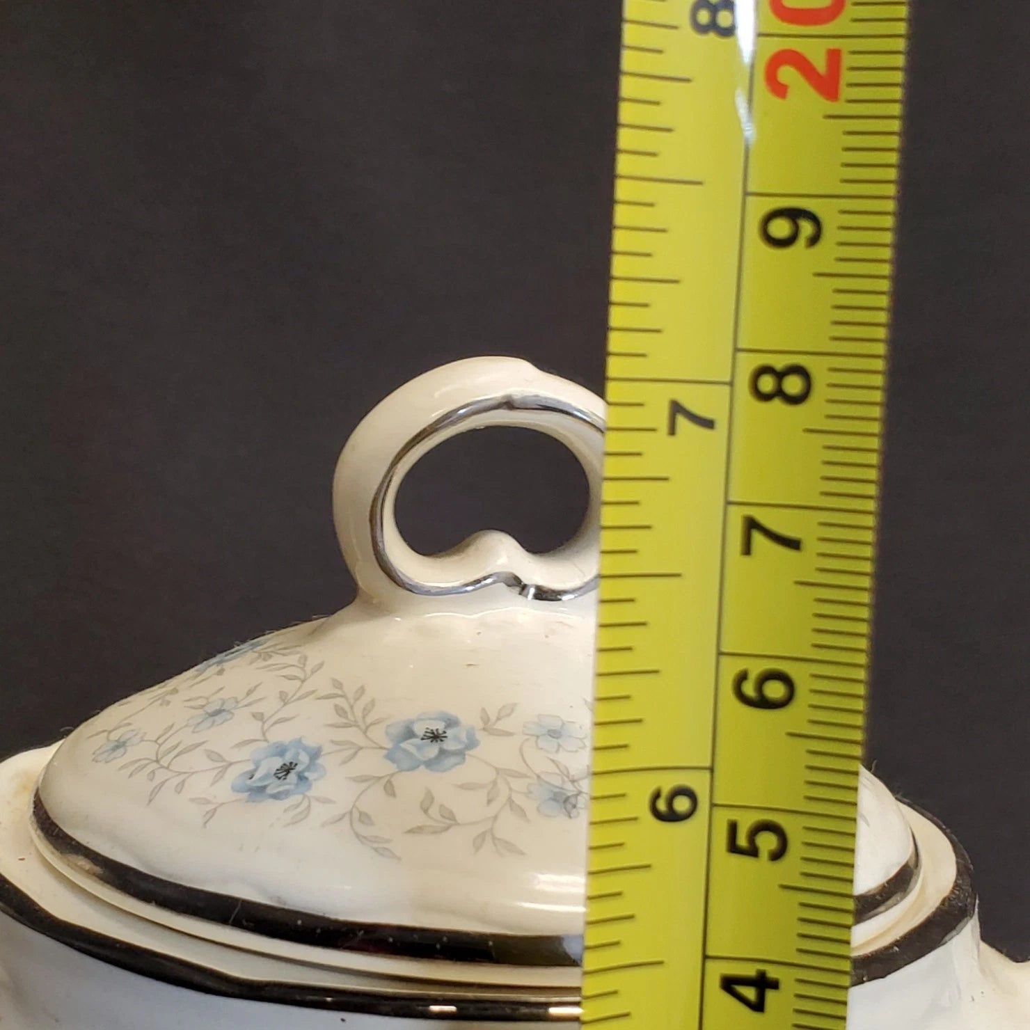 Nueva San Ysidro Porcelain Tea Pot w/ Floral plant elements & Silver Enamel | eBay