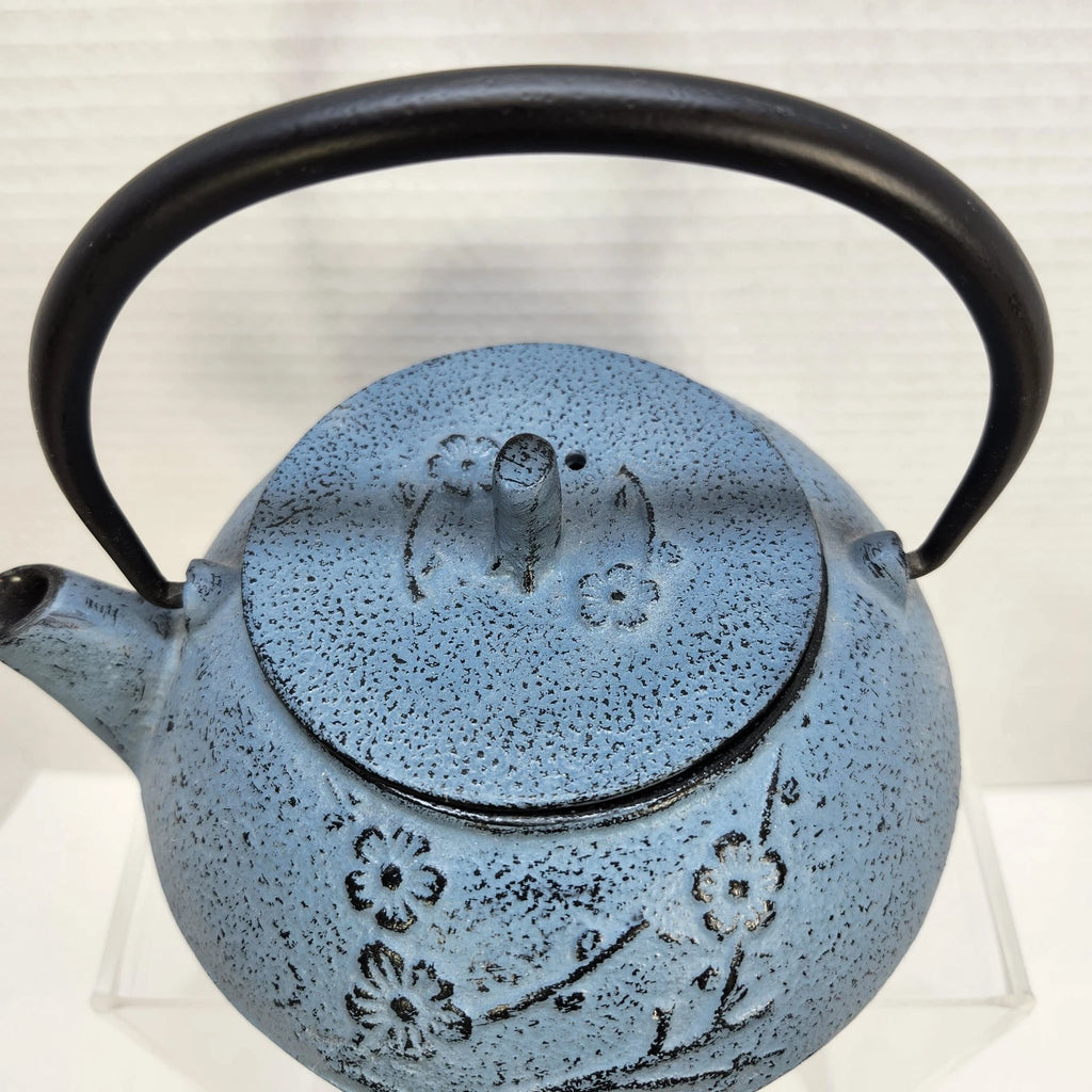 28 oz Cast Iron Teapot Tea Kettle Enamel Interior w/ Infuser Trivet & 4 Cups NEW | eBay