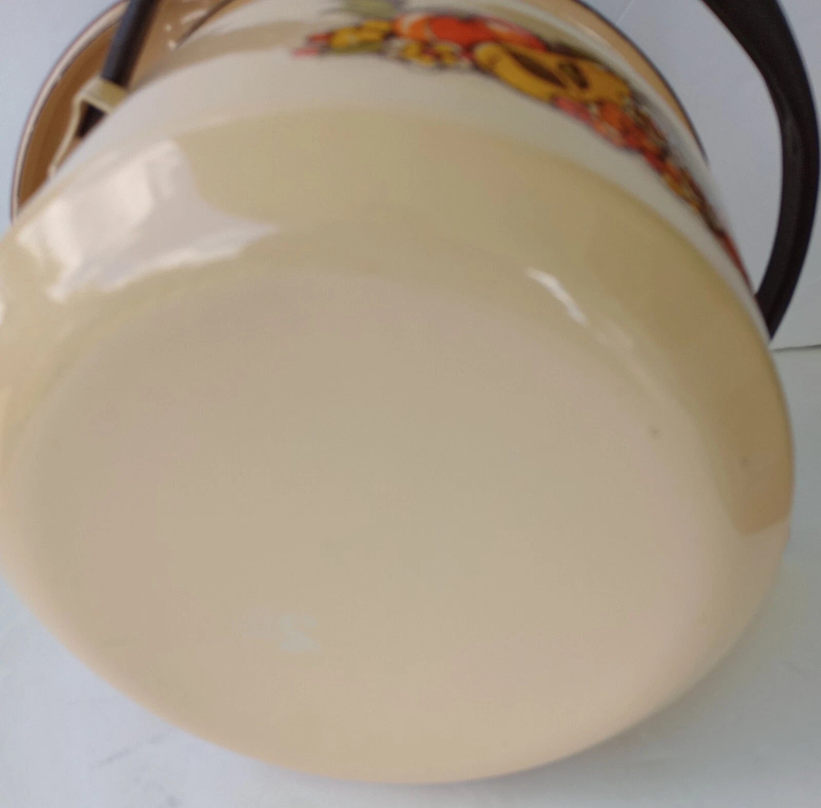 Vintage Enamel Tea Pot Fruits Mushroom Handle Retro 1970s New Condition | eBay