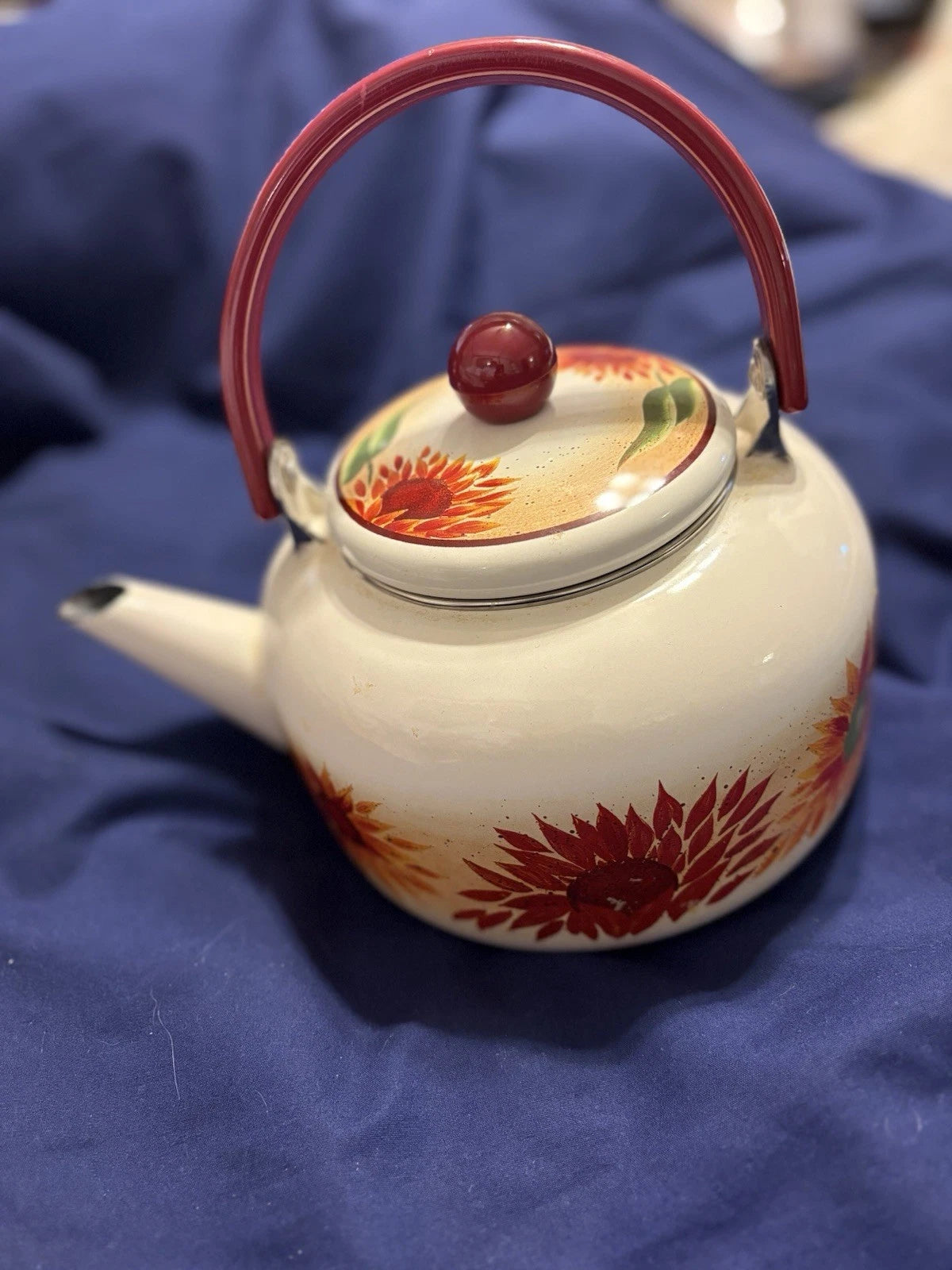 Vintage Enamel 8 Cup Teapot Kettle W/Flower Pattern | eBay