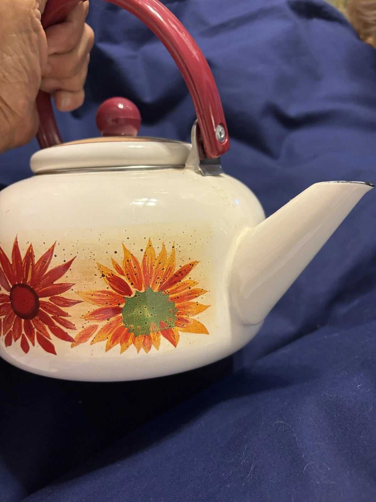 Vintage Enamel 8 Cup Teapot Kettle W/Flower Pattern | eBay