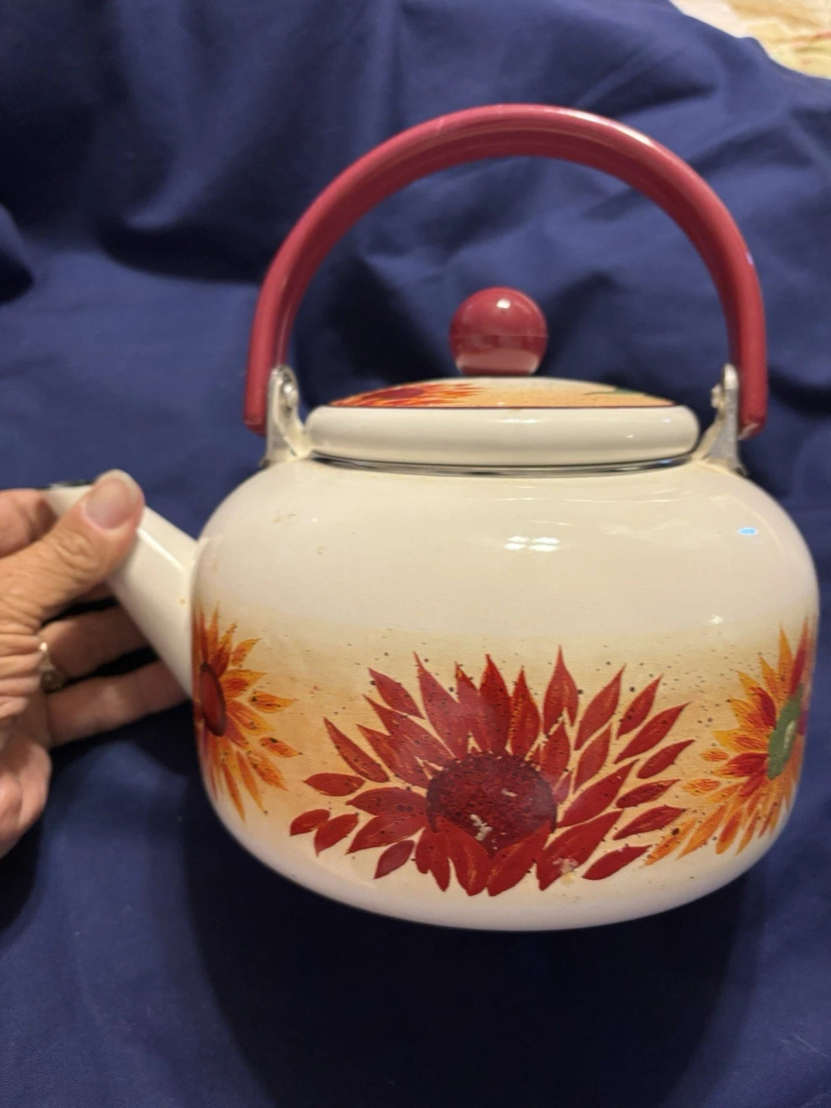 Vintage Enamel 8 Cup Teapot Kettle W/Flower Pattern | eBay